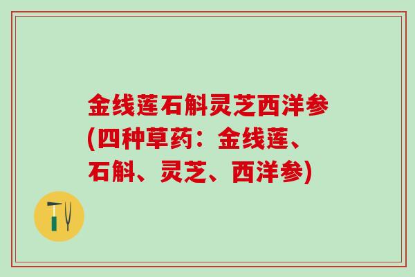 金线莲石斛灵芝西洋参(四种草药：金线莲、石斛、灵芝、西洋参)