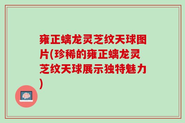 雍正螭龙灵芝纹天球图片(珍稀的雍正螭龙灵芝纹天球展示独特魅力)
