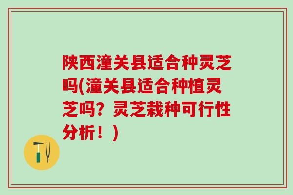 陕西潼关县适合种灵芝吗(潼关县适合种植灵芝吗?灵芝栽种可行性分析!) 陕西潼关县适合种灵芝吗(潼关县适合种植灵芝吗?灵芝栽种可行性分析!)