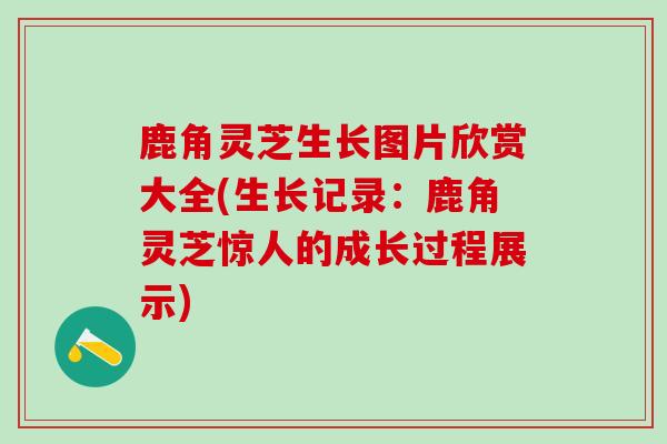 鹿角灵芝生长图片欣赏大全(生长记录：鹿角灵芝惊人的成长过程展示)