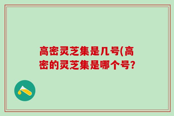 高密灵芝集是几号(高密的灵芝集是哪个号？