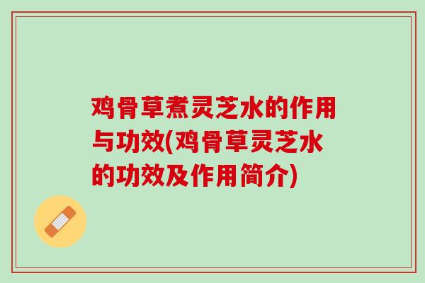 鸡骨草煮灵芝水的作用与功效(鸡骨草灵芝水的功效及作用简介)