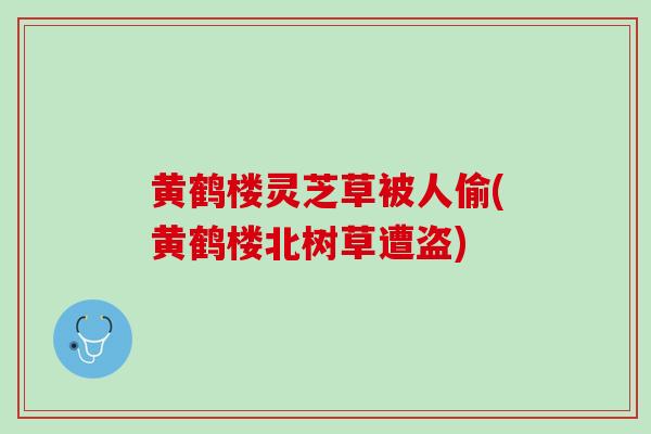 黄鹤楼灵芝草被人偷(黄鹤楼北树草遭盗)
