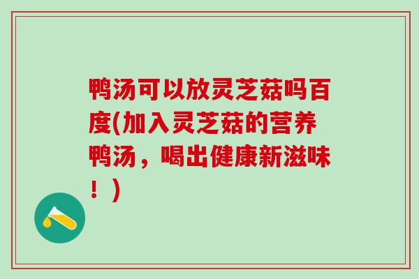 鸭汤可以放灵芝菇吗百度(加入灵芝菇的营养鸭汤，喝出健康新滋味！)