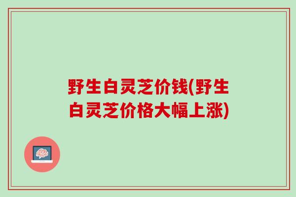 野生白灵芝价钱(野生白灵芝价格大幅上涨)