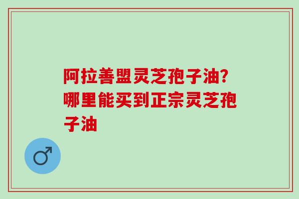 阿拉善盟灵芝孢子油？哪里能买到正宗灵芝孢子油