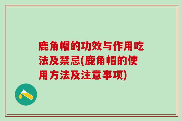 鹿角帽的功效与作用吃法及禁忌(鹿角帽的使用方法及注意事项)