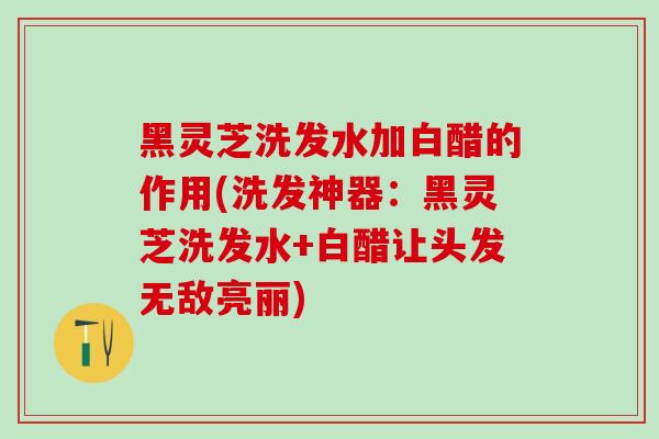 黑灵芝洗发水加白醋的作用(洗发神器：黑灵芝洗发水+白醋让头发无敌亮丽)