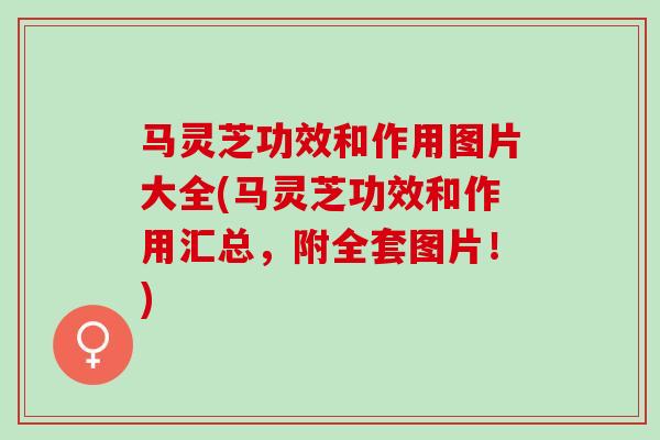 马灵芝功效和作用图片大全(马灵芝功效和作用汇总，附全套图片！)