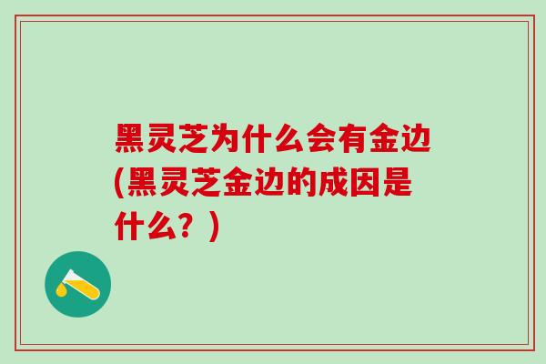 黑灵芝为什么会有金边(黑灵芝金边的成因是什么？)