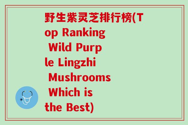 野生紫灵芝排行榜(Top Ranking Wild Purple Lingzhi Mushrooms Which is the Best)