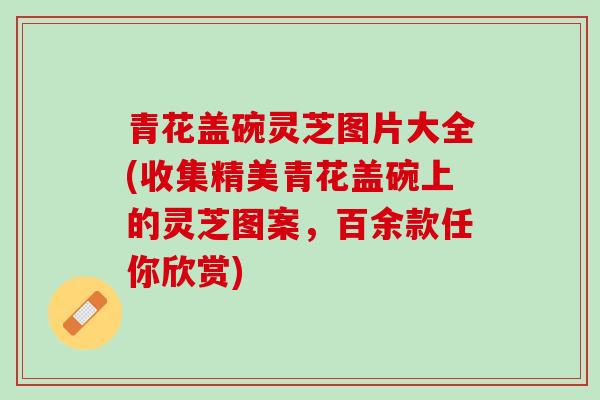 青花盖碗灵芝图片大全(收集精美青花盖碗上的灵芝图案，百余款任你欣赏)