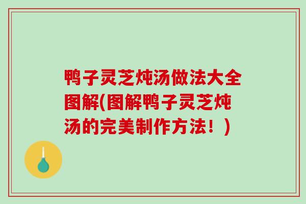 鸭子灵芝炖汤做法大全图解(图解鸭子灵芝炖汤的完美制作方法！)