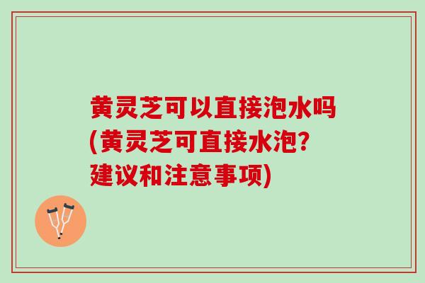 黄灵芝可以直接泡水吗(黄灵芝可直接水泡？建议和注意事项)