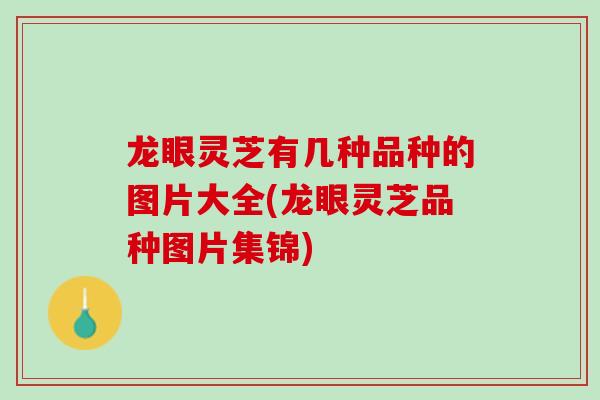 龙眼灵芝有几种品种的图片大全(龙眼灵芝品种图片集锦)