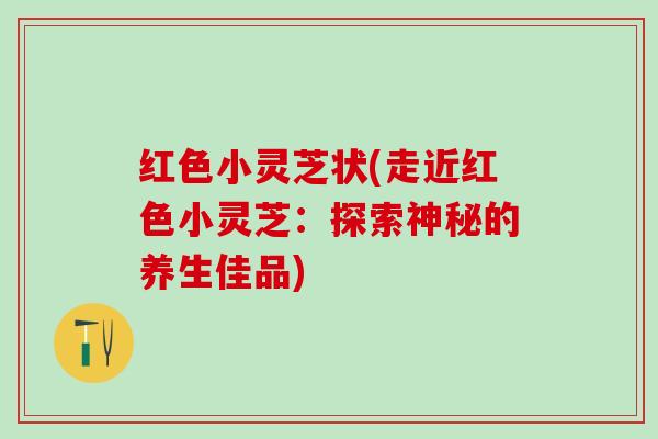 红色小灵芝状(走近红色小灵芝：探索神秘的养生佳品)