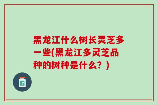 黑龙江什么树长灵芝多一些(黑龙江多灵芝品种的树种是什么？)