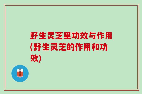 野生灵芝里功效与作用(野生灵芝的作用和功效)