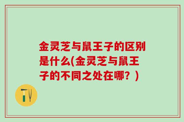 金灵芝与鼠王子的区别是什么(金灵芝与鼠王子的不同之处在哪？)