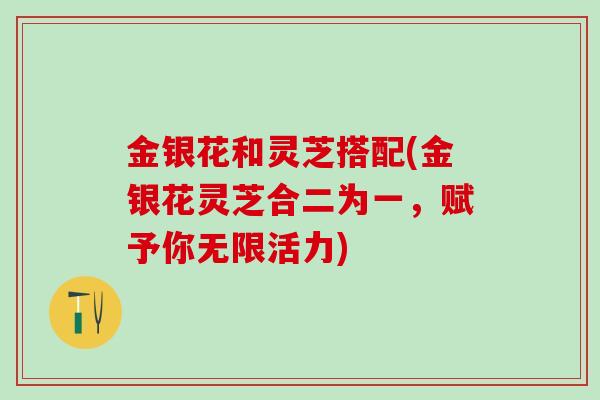 金银花和灵芝搭配(金银花灵芝合二为一，赋予你无限活力)