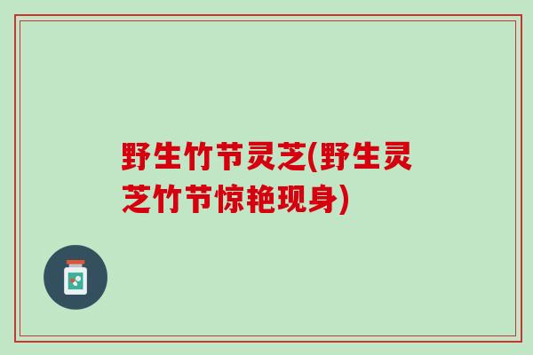 野生竹节灵芝(野生灵芝竹节惊艳现身)