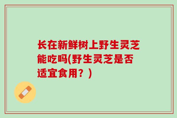 长在新鲜树上野生灵芝能吃吗(野生灵芝是否适宜食用？)