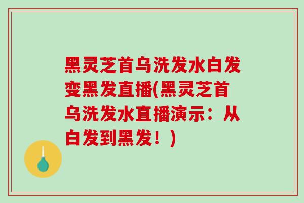 黑灵芝首乌洗发水白发变黑发直播(黑灵芝首乌洗发水直播演示：从白发到黑发！)