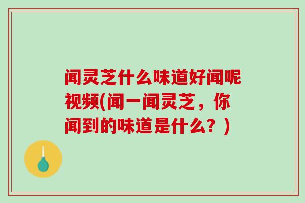 闻灵芝什么味道好闻呢视频(闻一闻灵芝，你闻到的味道是什么？)