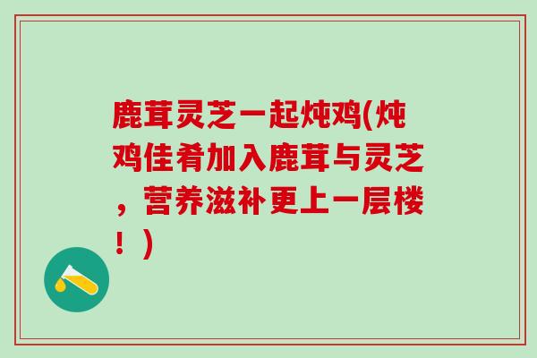 鹿茸灵芝一起炖鸡(炖鸡佳肴加入鹿茸与灵芝,营养滋补更上一层楼!) 鹿茸灵芝一起炖鸡(炖鸡佳肴加入鹿茸与灵芝,营养滋补更上一层楼!)