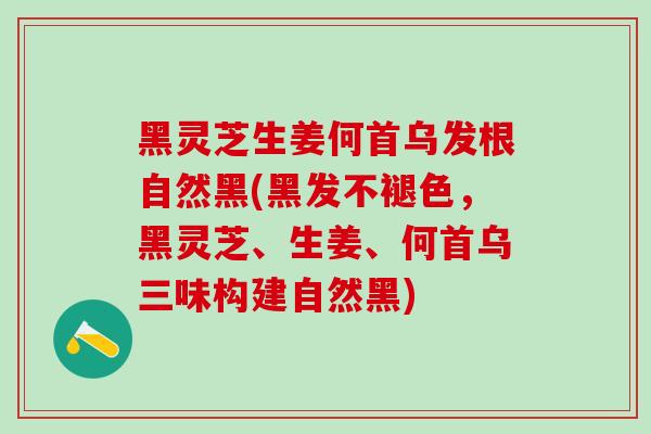 黑灵芝生姜何首乌发根自然黑(黑发不褪色，黑灵芝、生姜、何首乌三味构建自然黑)