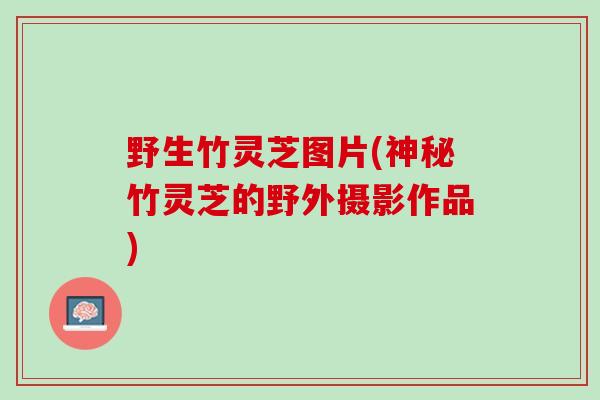 野生竹灵芝图片(神秘竹灵芝的野外摄影作品)