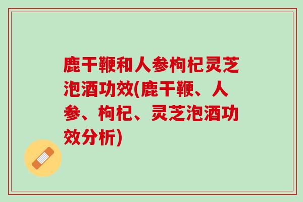 鹿干鞭和人参枸杞灵芝泡酒功效(鹿干鞭、人参、枸杞、灵芝泡酒功效分析)