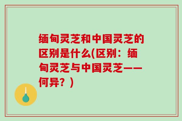 缅甸灵芝和中国灵芝的区别是什么(区别：缅甸灵芝与中国灵芝——何异？)