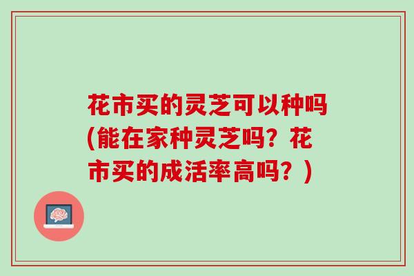 花市买的灵芝可以种吗(能在家种灵芝吗？花市买的成活率高吗？)