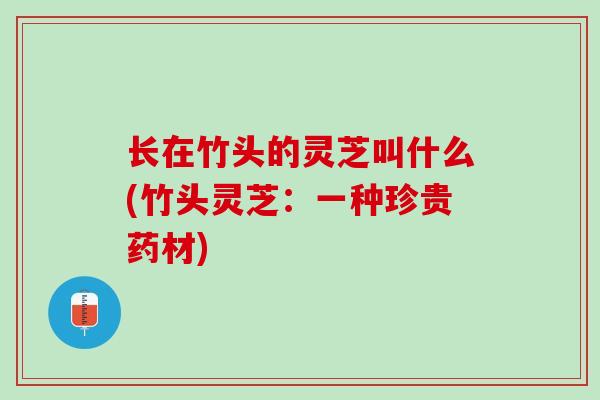 长在竹头的灵芝叫什么(竹头灵芝：一种珍贵药材)