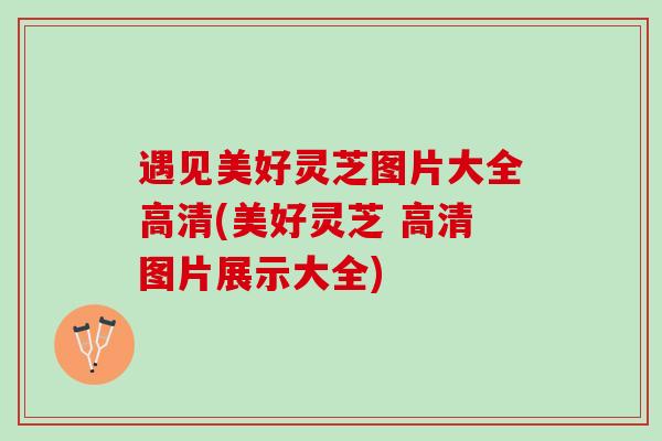 遇见美好灵芝图片大全高清(美好灵芝 高清图片展示大全)