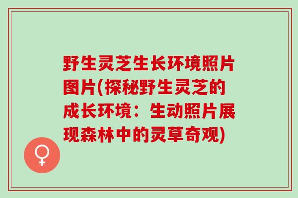野生灵芝生长环境照片图片(探秘野生灵芝的成长环境:生动照片展现森林中的灵草奇观) 野生灵芝生长环境照片图片(探秘野生灵芝的成长环境:生动照片展现森林中的灵草奇观)