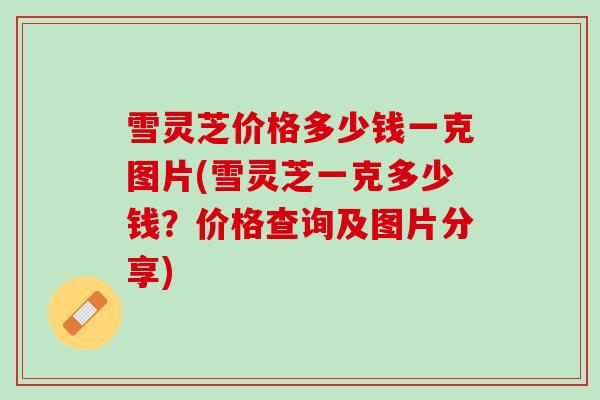 雪灵芝价格多少钱一克图片(雪灵芝一克多少钱？价格查询及图片分享)