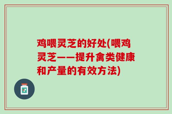 鸡喂灵芝的好处(喂鸡灵芝——提升禽类健康和产量的有效方法)