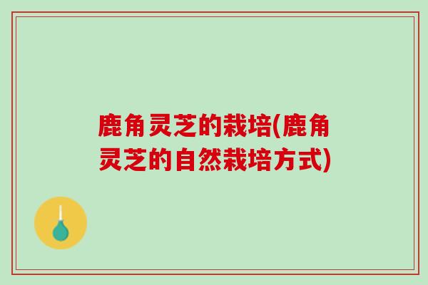 鹿角灵芝的栽培(鹿角灵芝的自然栽培方式) 鹿角灵芝的栽培(鹿角灵芝的自然栽培方式)
