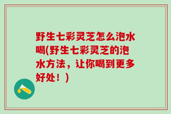 野生七彩灵芝怎么泡水喝(野生七彩灵芝的泡水方法,让你喝到更多好处!) 野生七彩灵芝怎么泡水喝(野生七彩灵芝的泡水方法,让你喝到更多好处!)
