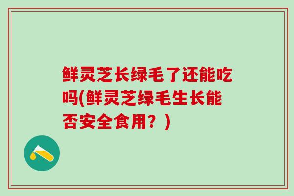 鲜灵芝长绿毛了还能吃吗(鲜灵芝绿毛生长能否安全食用？)