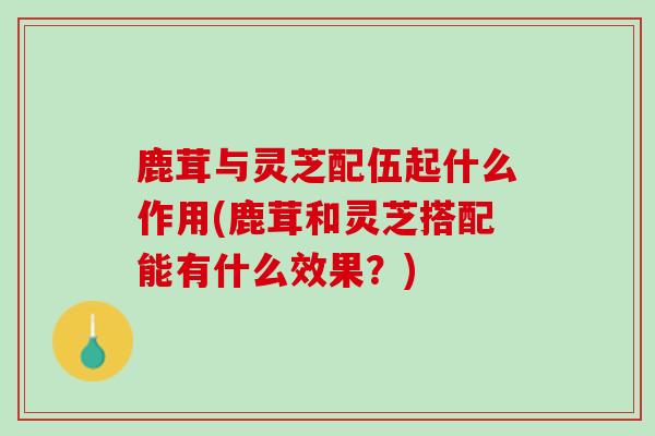 鹿茸与灵芝配伍起什么作用(鹿茸和灵芝搭配能有什么效果？)