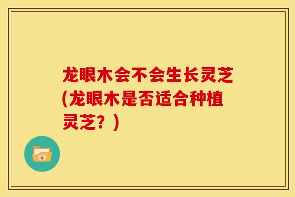 龙眼木会不会生长灵芝(龙眼木是否适合种植灵芝？)