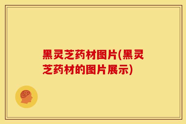 黑灵芝药材图片(黑灵芝药材的图片展示)