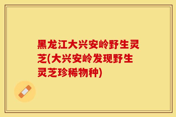 黑龙江大兴安岭野生灵芝(大兴安岭发现野生灵芝珍稀物种)
