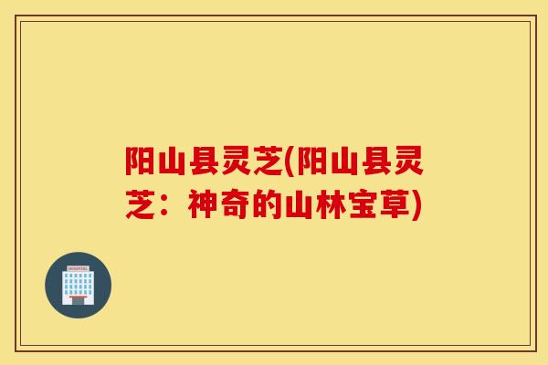 阳山县灵芝(阳山县灵芝：神奇的山林宝草)