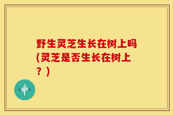 野生灵芝生长在树上吗(灵芝是否生长在树上？)