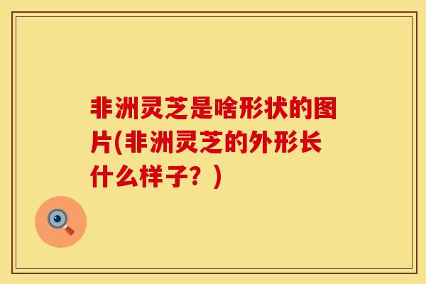非洲灵芝是啥形状的图片(非洲灵芝的外形长什么样子？)