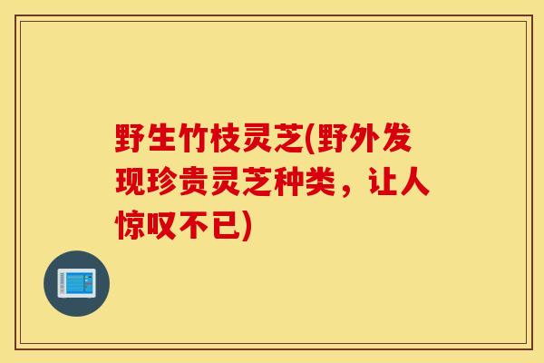 野生竹枝灵芝(野外发现珍贵灵芝种类，让人惊叹不已)